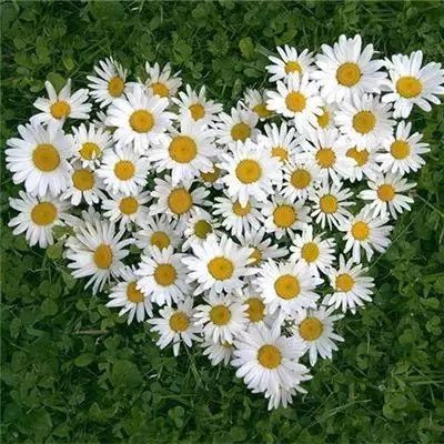 爱游戏全站登录